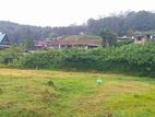 Valuable 10 perch Land for sale in Blackpool, Nuwaraeliya.
