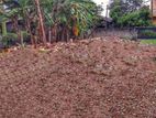 Valuable 10 Perches Bare Land For Sale Hendala