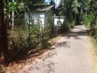 Valuable 13.5 P Land for Sale in Kottaramulla, Nattandiya