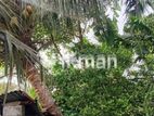 Valuable 14 P Land for Sale in Kadawatha 📍