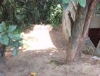 Valuable 14 Perches of Commercial Land for Sale at Thalwatta, Kandy.