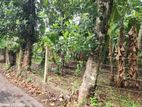 Valuable 15 Perch land for sale in Gampaha, Yakkala
