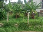 Valuable 17-Perch Residential Land for Sale in Thalahena, Malabe