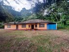 Valuable 180 Perches of Land for Sale in Mirissa, Matara.