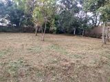 Valuable 20 Perches Residential Land for Sale in Makandana, Kesbewa