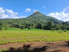 Valuable 3.75 Acres Ready-Made Land for Sale in Matale.
