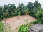 Valuable 38-Perch Land for Sale in Dunagaha, Minuwangoda