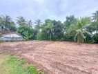 Valuable 38-Perch Land for Sale in Dunagaha, Minuwangoda