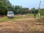 Valuable 40 P Bare Land for Sale in Kandana City
