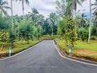 Valuable 40p Lands for sale in Homagama Meegoda