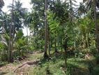 Valuable 504 P Agriculture Land with House for Sale in Matara Beliatta