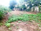 Valuable 6 P Land for Sale in Digana Kottawa