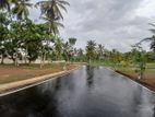 Valuable 6.50p Land for sale in Polgasowita