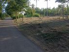 Valuable 73P Bare Land For Sale in Mirigama