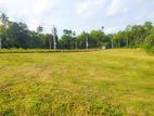 Valuable 8 perch bare Land for sale in Beliatta