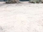 Valuable 8 Perch Residential Land For Sale in Thalawathugoda Kalalgoda