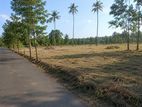 Valuable Agriculture 73P Bare Land For Sale in Mirigama