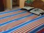 Valuable Annex For Rent in Kochchikade,Negombo