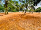 Valuable coastal land for sale in Midigama