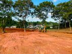 Valuable Coastal Land Plots for Sale in Dikwella