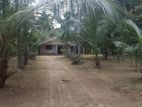 Valuable Coconut Estate with Two Houses for Sale in Sandalankawa