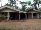 Valuable Coconut Estate with Two Houses for Sale – Sandalankawa