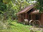 Valuable Coconut Estate with Two Houses for Sale – Sandalankawa