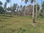 Land for Sale in Chilaw