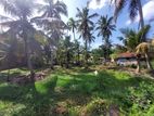 Valuable Coconut Land for sale in Uswetakeiyawa (C7-5887)