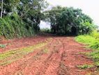 Valuable Commercial Land for Sale Between Batapola, Ambalangoda.