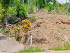 Valuable Commercial Land for Sale in Pilimathalawa.