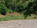 Valuable commercial land for sale in Pinnawala