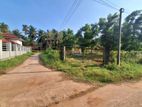 Valuable Developed Land for Sale in Nainamadama, Wennappuwa.