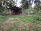 VALUABLE FARM / PIGGERY COCONUT ESTATE FOR SALE