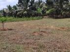 Valuable Flat Land for Sale in Ihala Bope