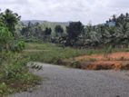 Valuable Flat Land for Sale in Ihala Bope