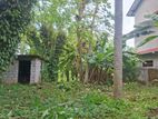 Valuable Flat Land for Sale in Monaragala (15 Perches)