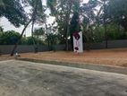 Valuable flat Land for sale in Thalahena
