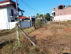 valuable Flat Land for sale panadura