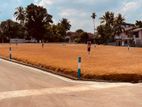 Valuable flat Lands for sale in Arangala