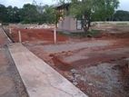 Valuable flat Lands for sale in Nawala