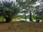 Valuable High Land Facing to Paddy Field for Sale in Mirissa, Matara.