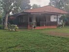 Valuable House for Sale Near Kurusa Junction-Panadura