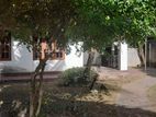 Valuable House with Land for Sale