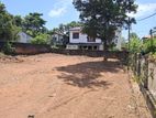 Valuable Kabok Rectangular land For Sale In Mangala Road Dehiwala