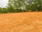 Valuable Land for Jaela Bopitiya