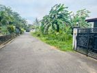 Valuable land for living with a scenic paddy field view