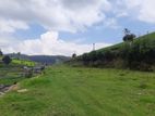 Valuable land for Nuwara Eliya