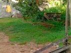 Valuable Land for Rent at Kottawa