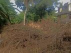 Valuable Land for Rent in Athurugiriya